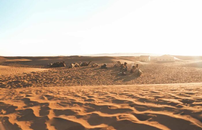 2 Days Marrakech To Zagora Trip