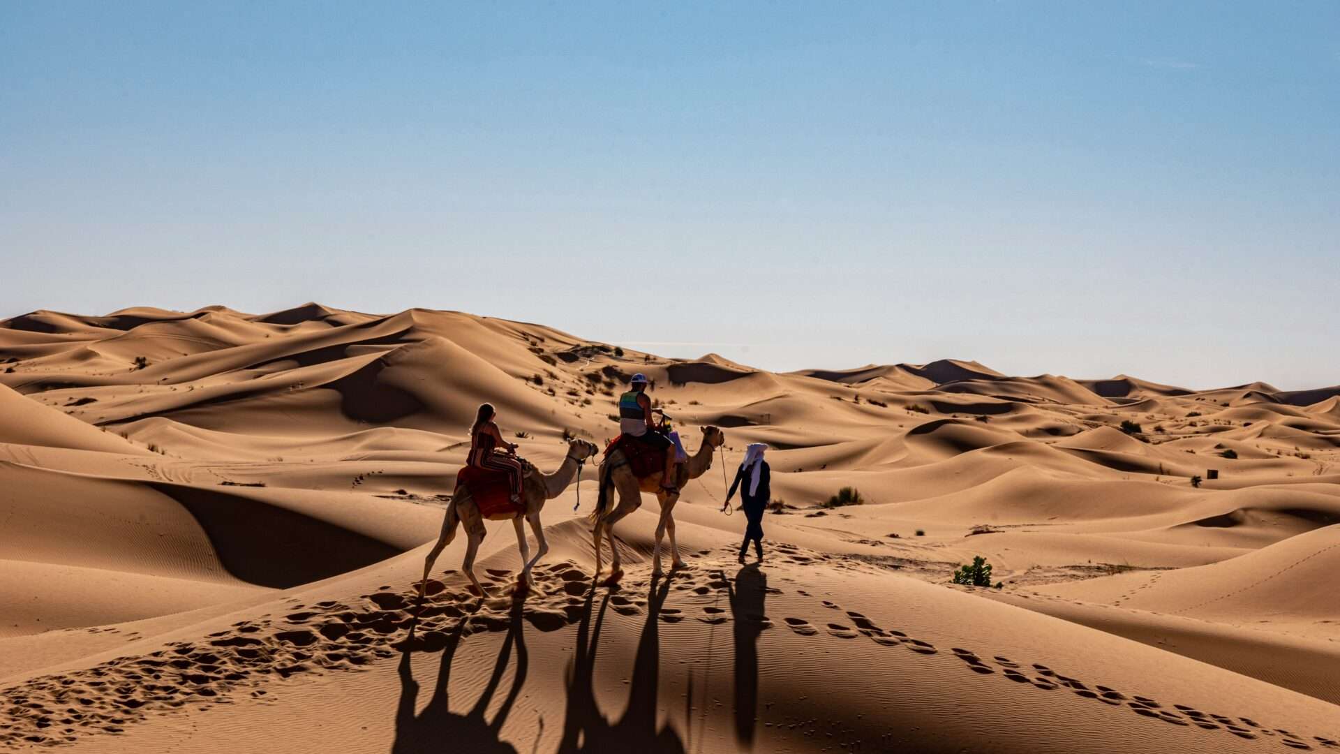 camel trekking, Merzouga sahara desert