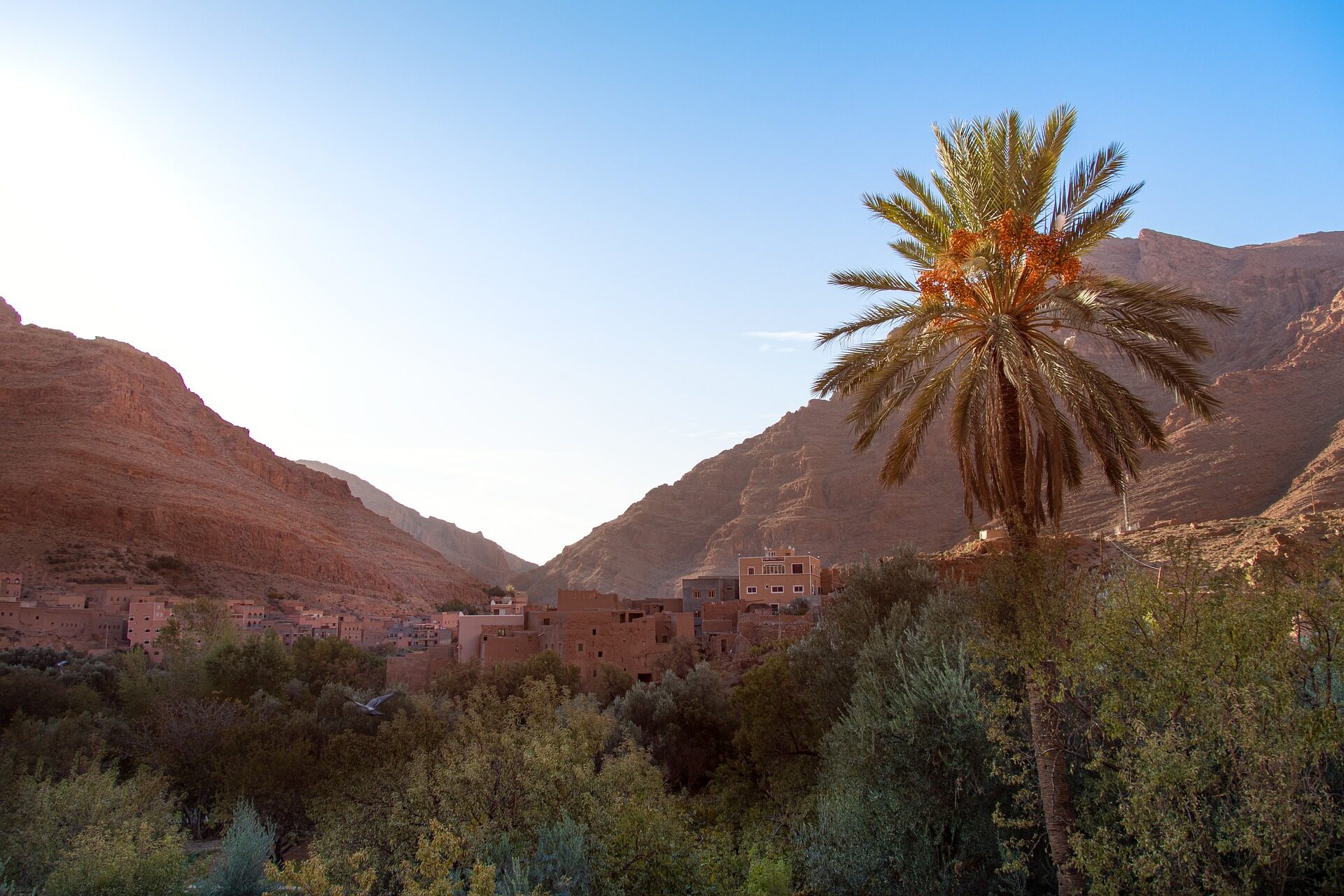 Boumalne Dades with palm trees and Atlas Mountains in the background, Morocco.