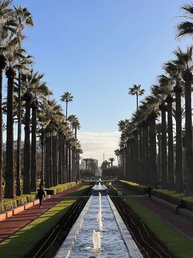 Lush greenery and palm-lined walkways of the Arab League Park in Casablanca, with people strolling and relaxing on benches.