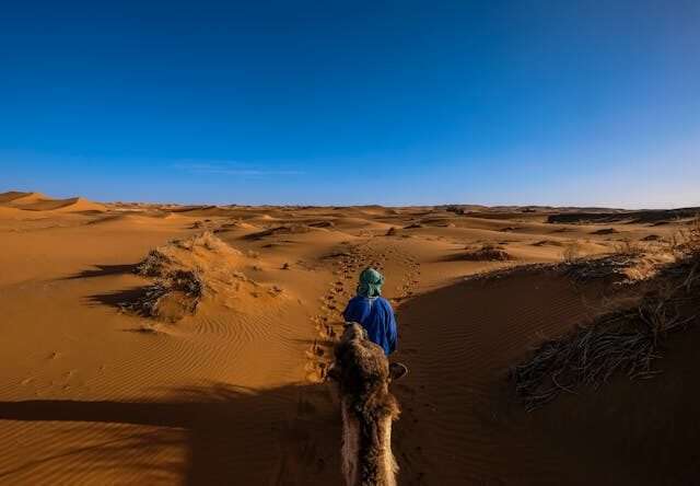 camel trekking in sahara desert
