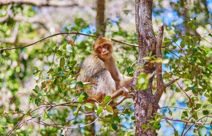 3 Days Sahara Desert Trip