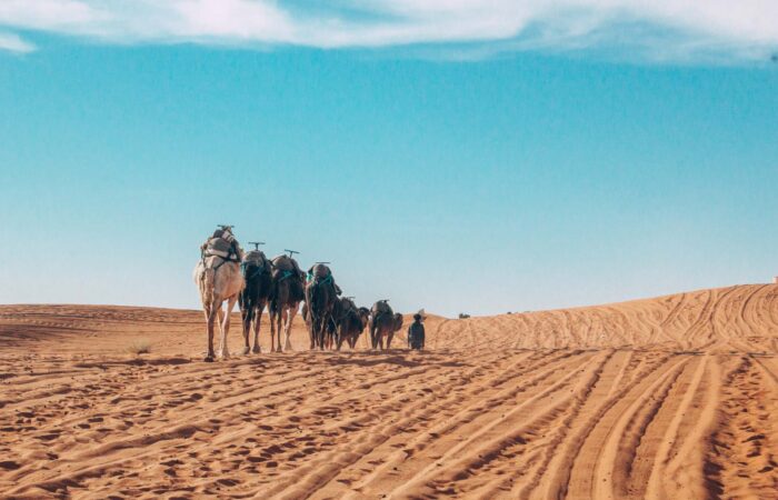 3 Days Desert Trip From Fes