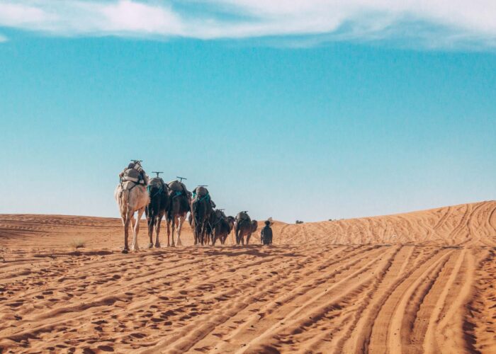 3 Days Desert Trip From Fes