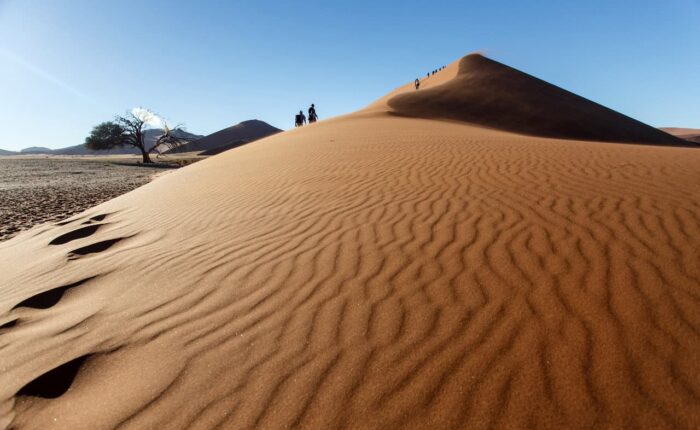 6 Days Fes to Marrakech Tour