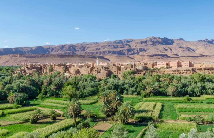 Marrakech to Fes Tour