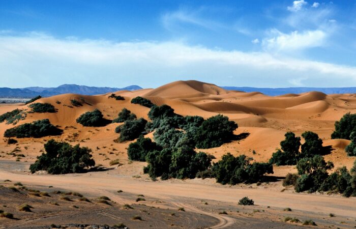 3 Days Sahara Trip From Ouarzazate