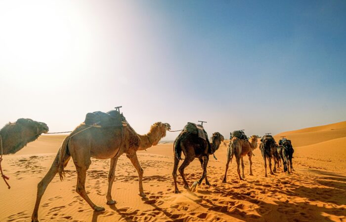 5 Days Desert Tour From Ouarzazate To Marrakech