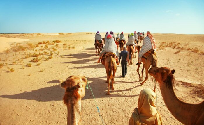 5 Days Tour from Agadir To Zagora 