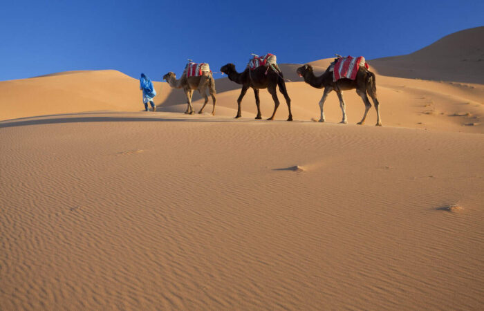 9 Days Tour From Casablanca