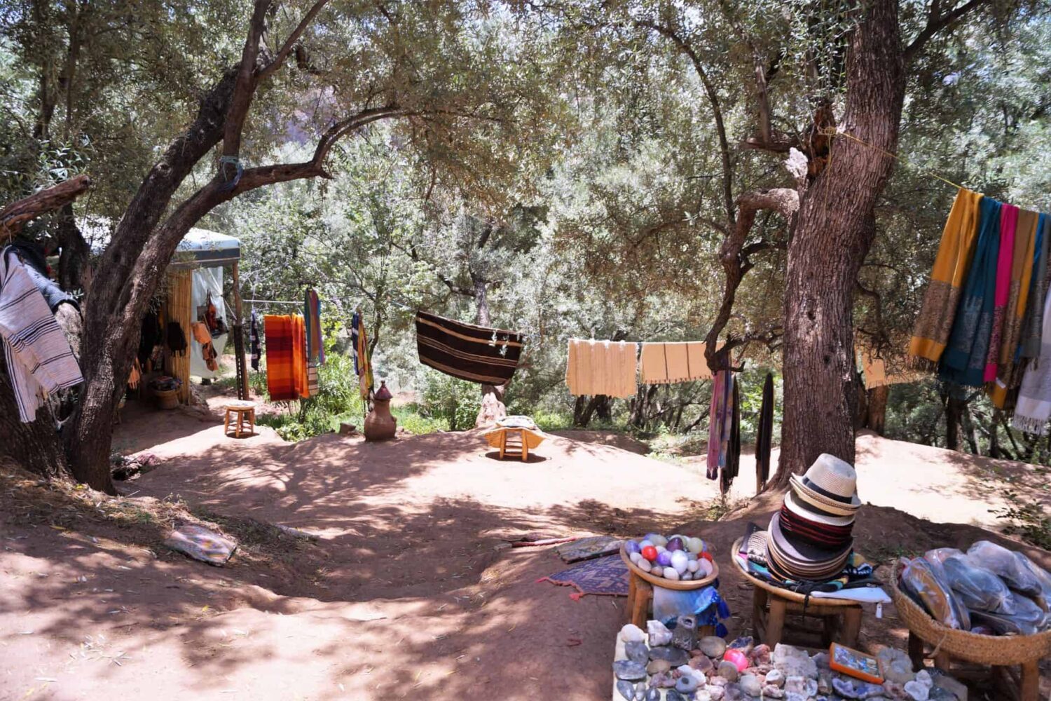 Day Trip from Marrakech