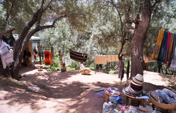 Day Trip from Marrakech