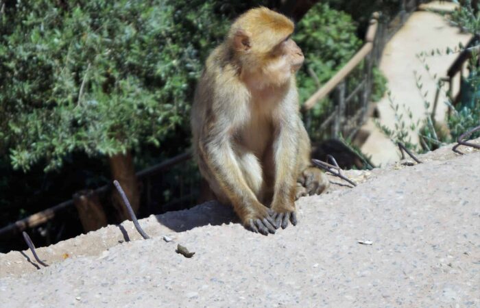 Day Trip from Marrakech