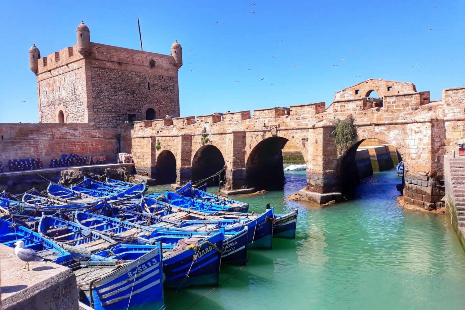 Essaouira Day Adventure